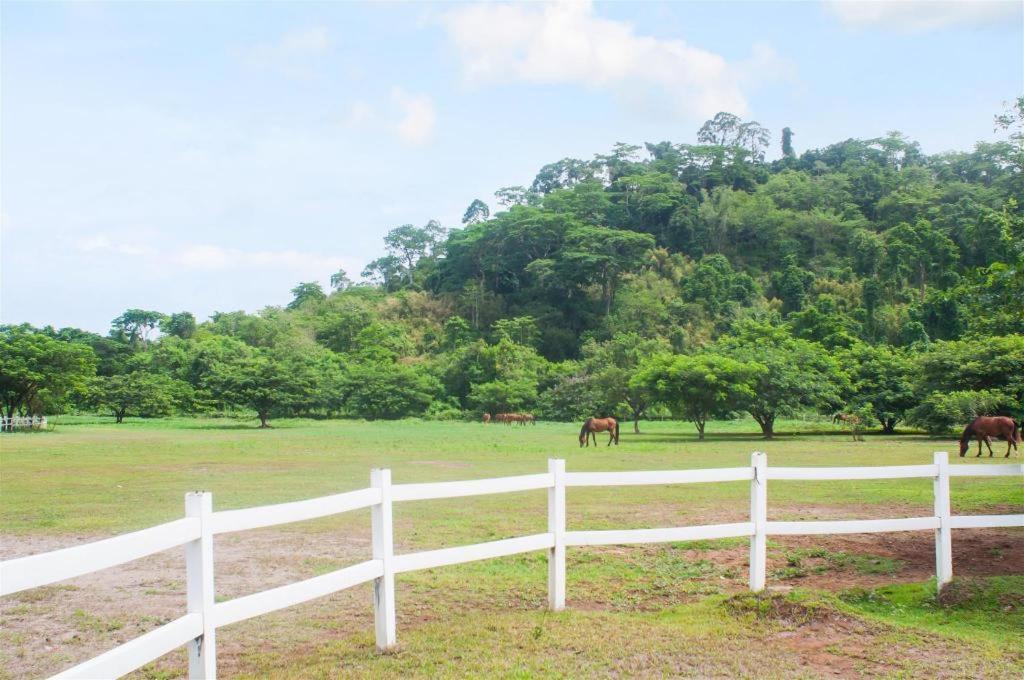 The Mansion Hotel Mabalacat Exterior foto